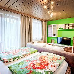 Appartement nahe den Skigebieten und Ausgangspunkt zu Sehens