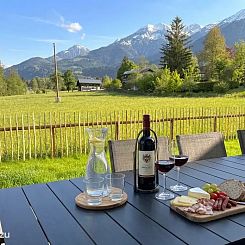 Alp Chalet Gundersheim
