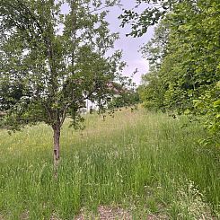 Kavel in Moosburg