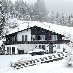 Waldvilla aan de skipiste!