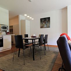 Appartement Hirsch