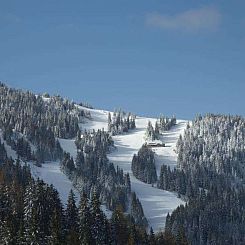 Chalet in Bad St.Leonhard