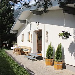 Zwei Tannen