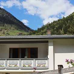 Zwei Tannen