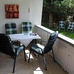 Zwei Tannen