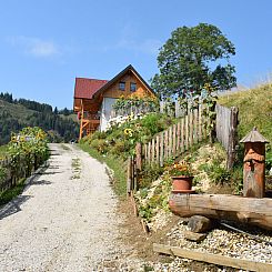 Vakantiehuis Alm-Ferienhaus