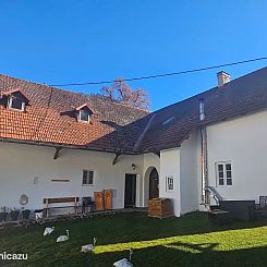 Ferien- und Pferdegut: Der Sommer