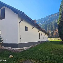 Ferien- und Pferdegut: Der Sommer