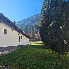 Ferien- und Pferdegut: Die Kuche