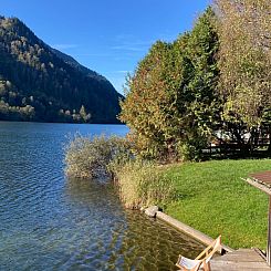 Appartement im Haus Seebrauer in Feld am See