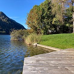 Appartement Studio Seebrauer  in Feld am See