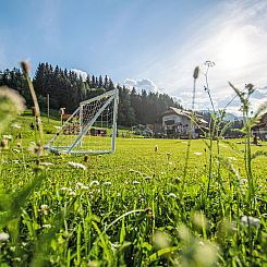Vakantiehuis Alpen Chalet