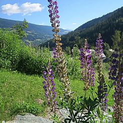 Chalet schönes Herz