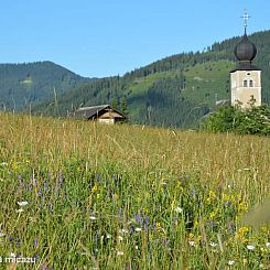 Chalet Edelweiss