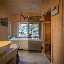 Vakantiehuis #42 mit Sauna und Sprudelbad innen
