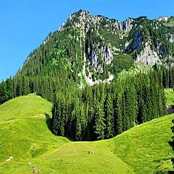 Almhütte Seebergalm