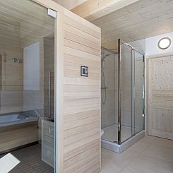 Vakantiehuis Premium # 09 mit Sauna & Swim Spa