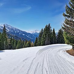Appartement Naviser Hütte