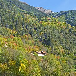 Appartement David am Buchhammerhof