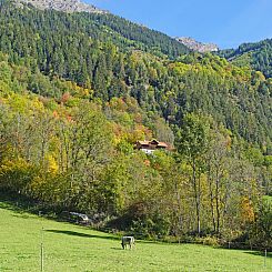Appartement Josefa am Buchhammerhof