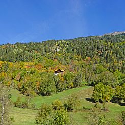 Appartement Peppi am Buchhammerhof