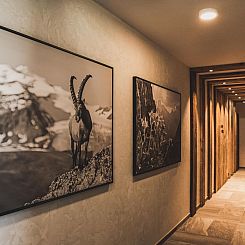 Appartement in Ehrwald