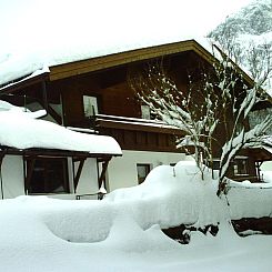 Kirschbaum 3