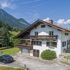 Platzhirsch