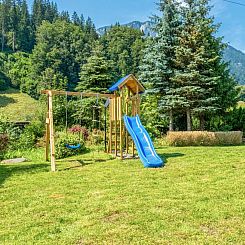 Platzhirsch Small