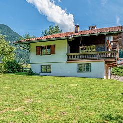 Platzhirsch Small