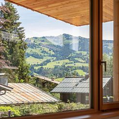 Chalet Marchfeld Top 1