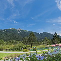 Appartement Waldblick