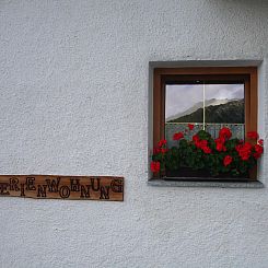 Appartement mit Schwedenofen und großer Terrasse