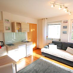 Appartement Muehlbach