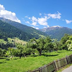 Appartement Anna
