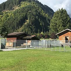 Appartement Pony-Ziegen-Hasen-Ranch in Bichlbach