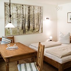 Appartement Studio Esche 2