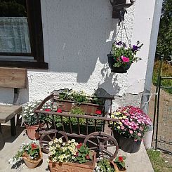 Appartement Riedbach in Mutters