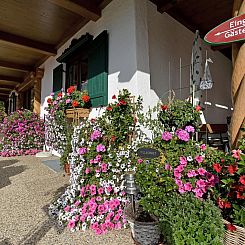 Appartement in ruhiger Lage nahe am See
