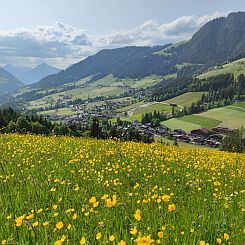 Chalet Mountain View