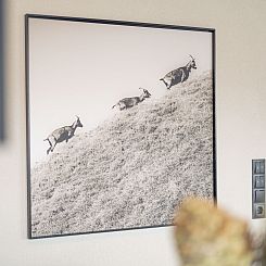 Appartement Superior mit 2 Schlafzimmern