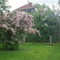 Bergsvägen Bed & Breakfast