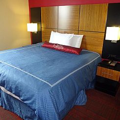 Hotel Bliss - Brooklyn