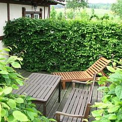 Vakantiehuis "Sunshine Apartment"