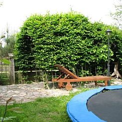 Vakantiehuis "Sunshine Apartment"