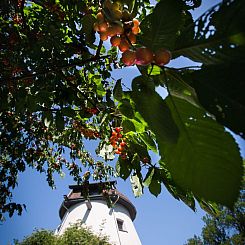 Vakantiehuis Windmill Ryn - Premium-Ferienhaus
