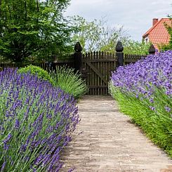 Vakantiehuis in Gąski mit Gepflegtem Garten