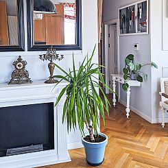Appartement Dzielna