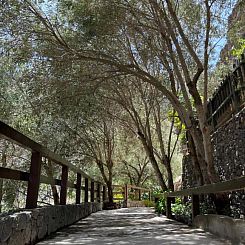 Casa Rural Guayadeque Ca'Juani