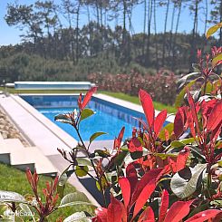 Jardim no Penhasco